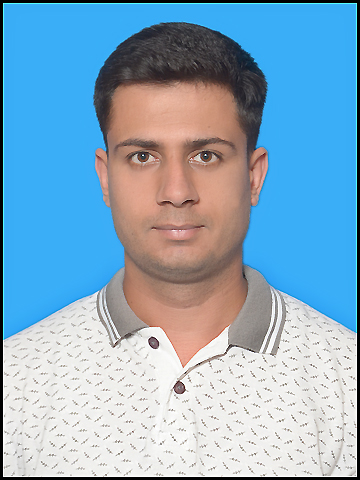 Mr. Madhur Girdhar